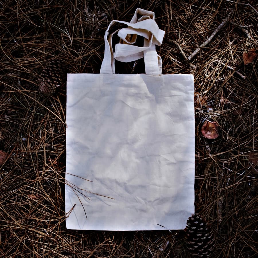 Canvas Everyday Bag